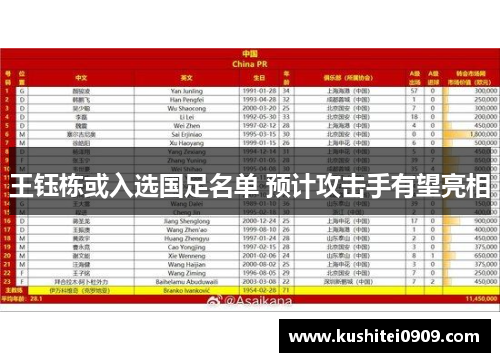 王钰栋或入选国足名单 预计攻击手有望亮相