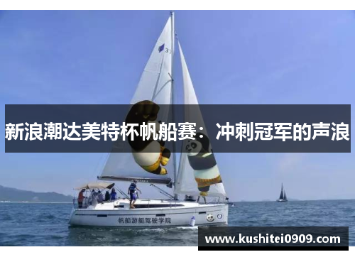 新浪潮达美特杯帆船赛：冲刺冠军的声浪